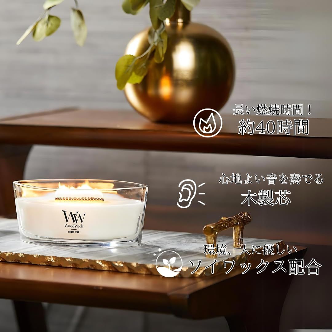 希少SURT アパルトモン グッドグリーフ マディソンブルー AP STUDIO L