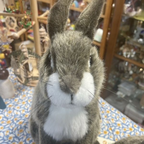 ケーセン ウサギ 立ち ベージュ - メルカリ