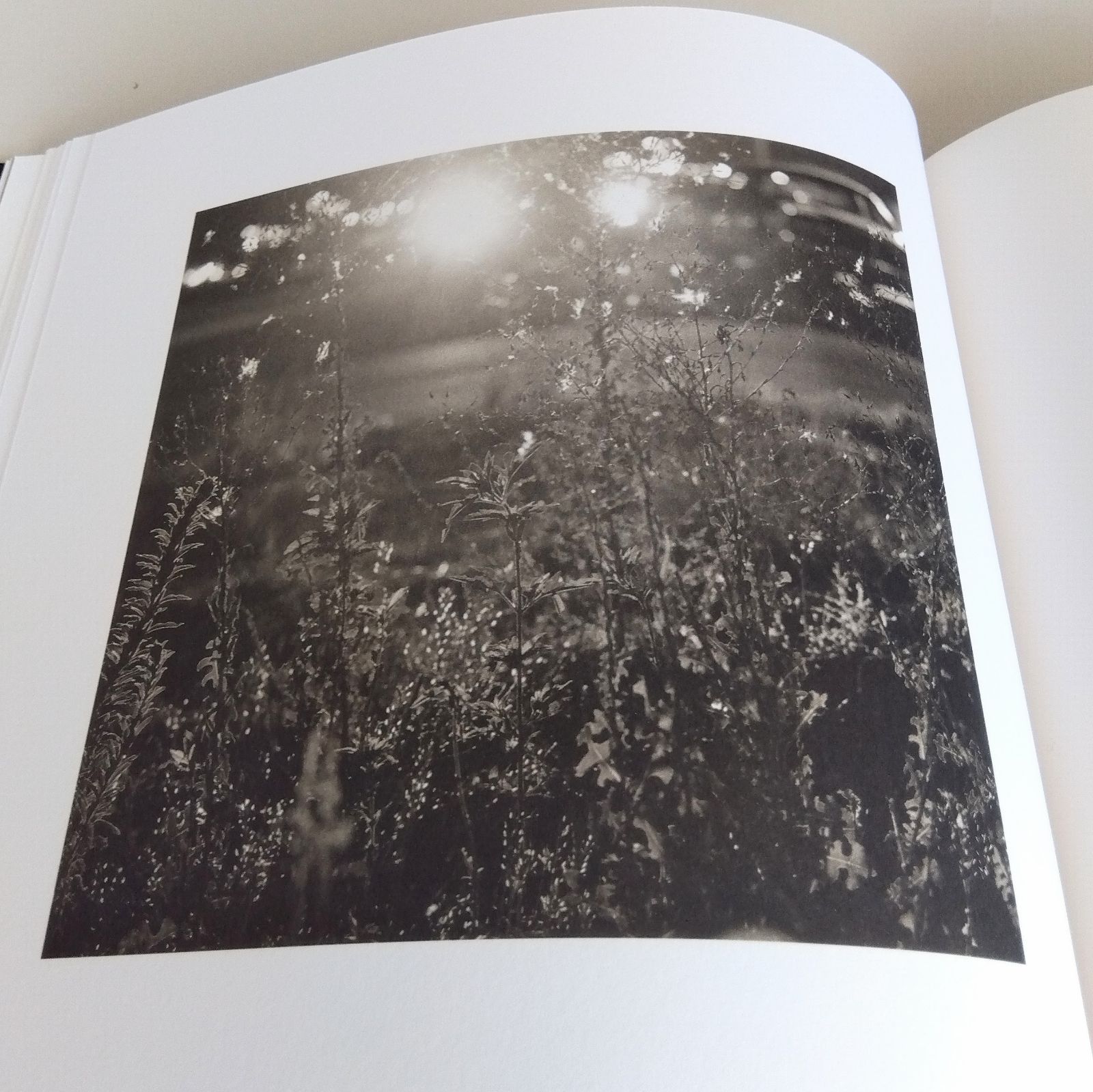SUMMER NIGHTS, WALKING 改訂版 Robert Adams: Summer Nights, Walking - BOOK OF DAYS ONLINE SHOP