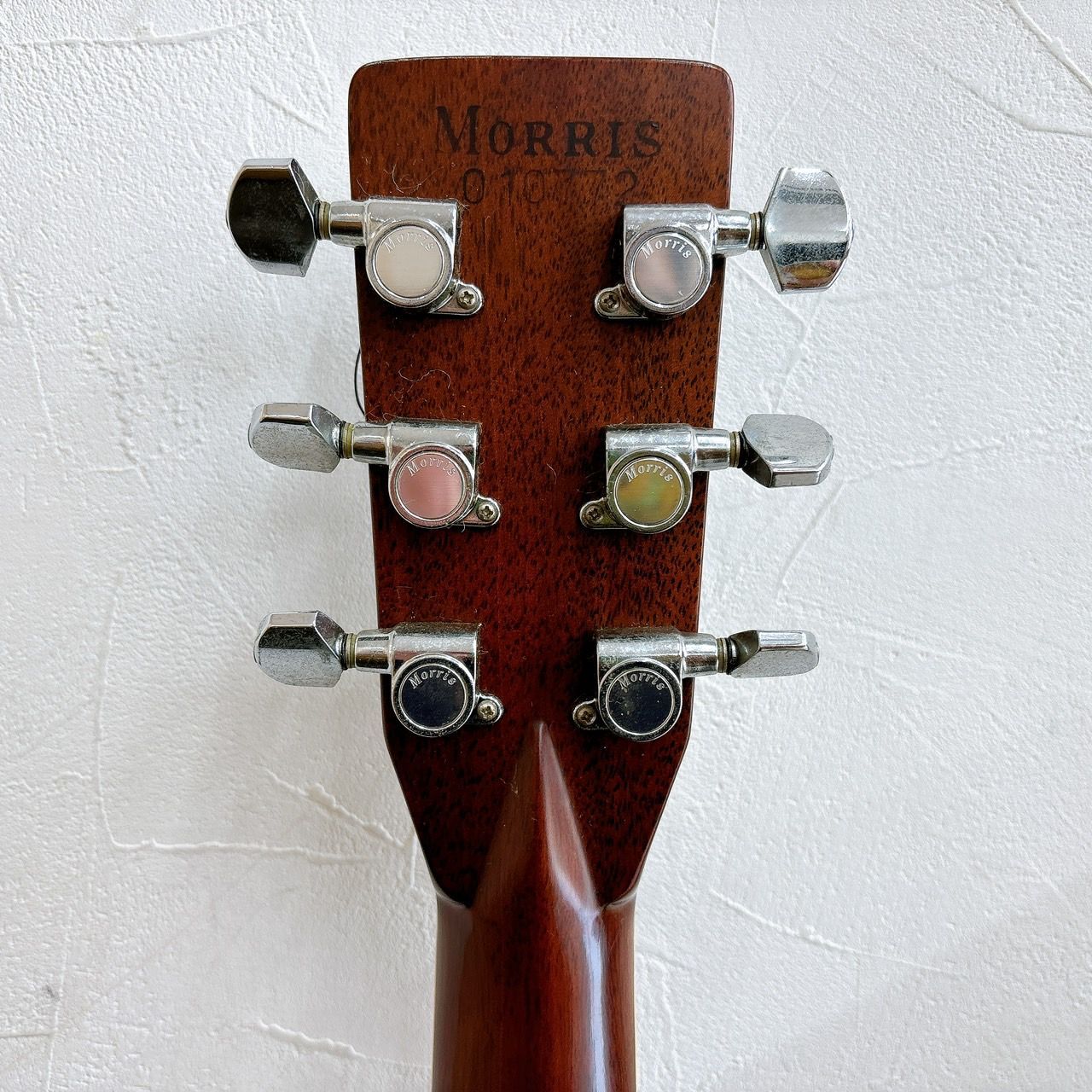 モーリス Morris TF-50SP アコースティックギター アコギ Morris TF-50SP アコースティックギター （1円〜 TF Morris