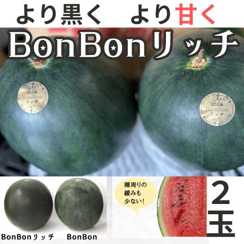 Bonbon リッチ スイカ ひとりじめボンボン ふるさと納税 先行予約 ひとりじめBonBonリッチ 黒皮小玉 スイカ 2玉 熊本県産 すいか 西瓜 スイカ 小玉 熊本県 名産 黒 ブラック 果物 フルーツ 旬 甘い ひとりじめ シャリシャリ 送料無料 山鹿市 とみおか農園 ZEM002 熊本県山鹿市