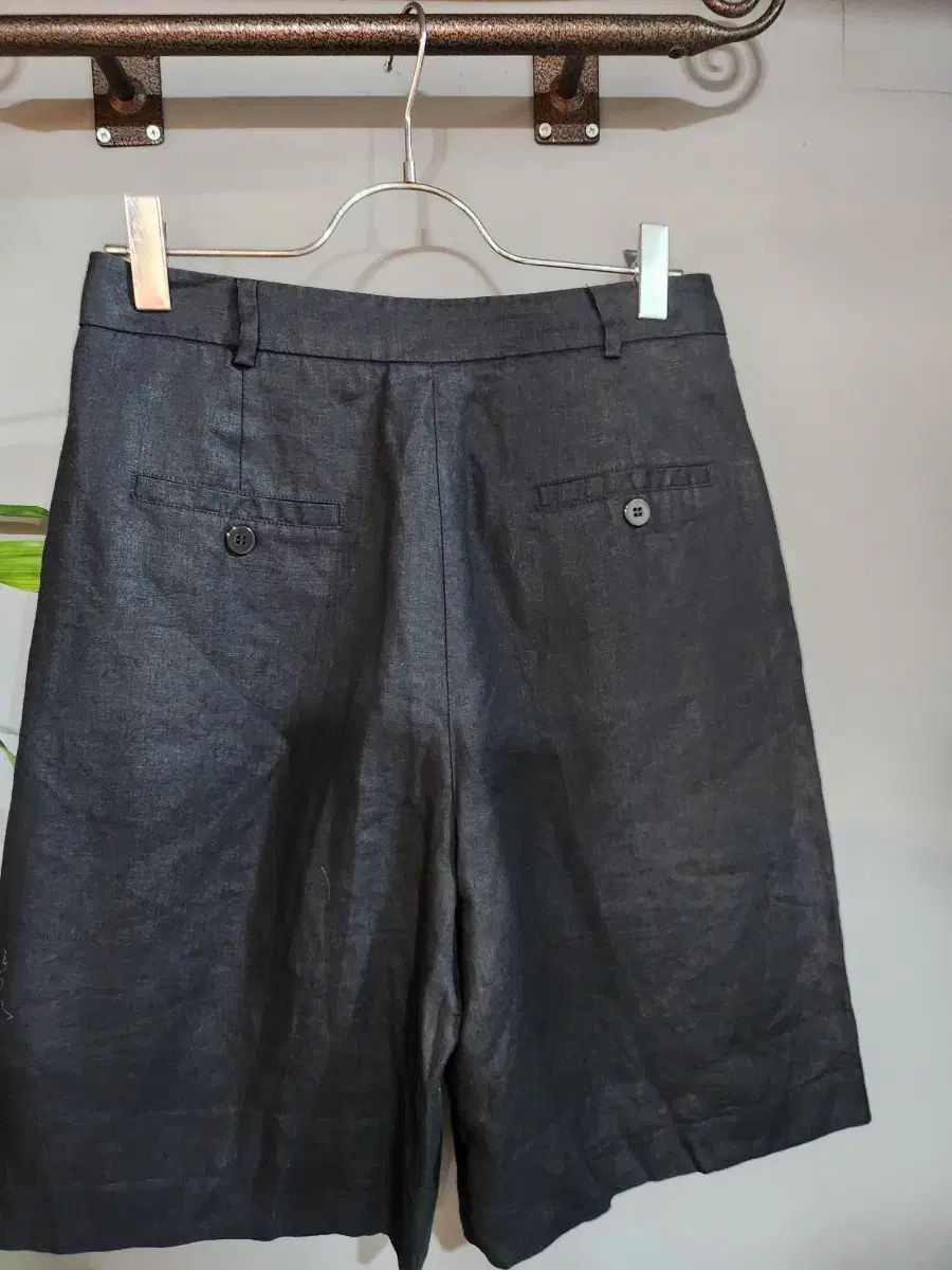 マックスマーラ 55