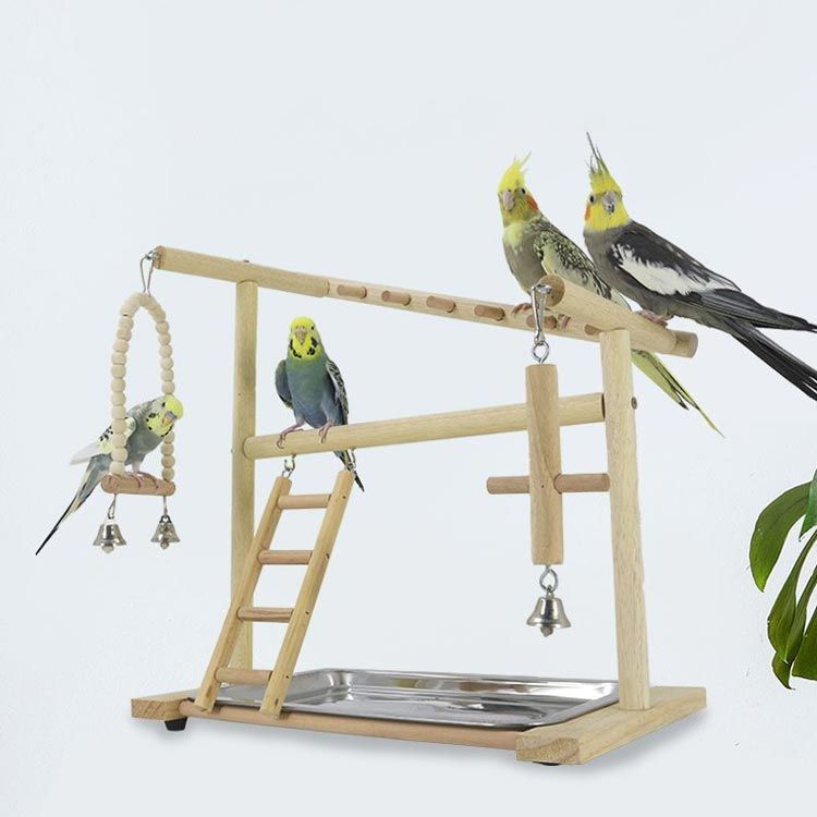 インコ 遊び場 鳥 アスレチック 鳥用品 鳥のおもちゃ バードトイ