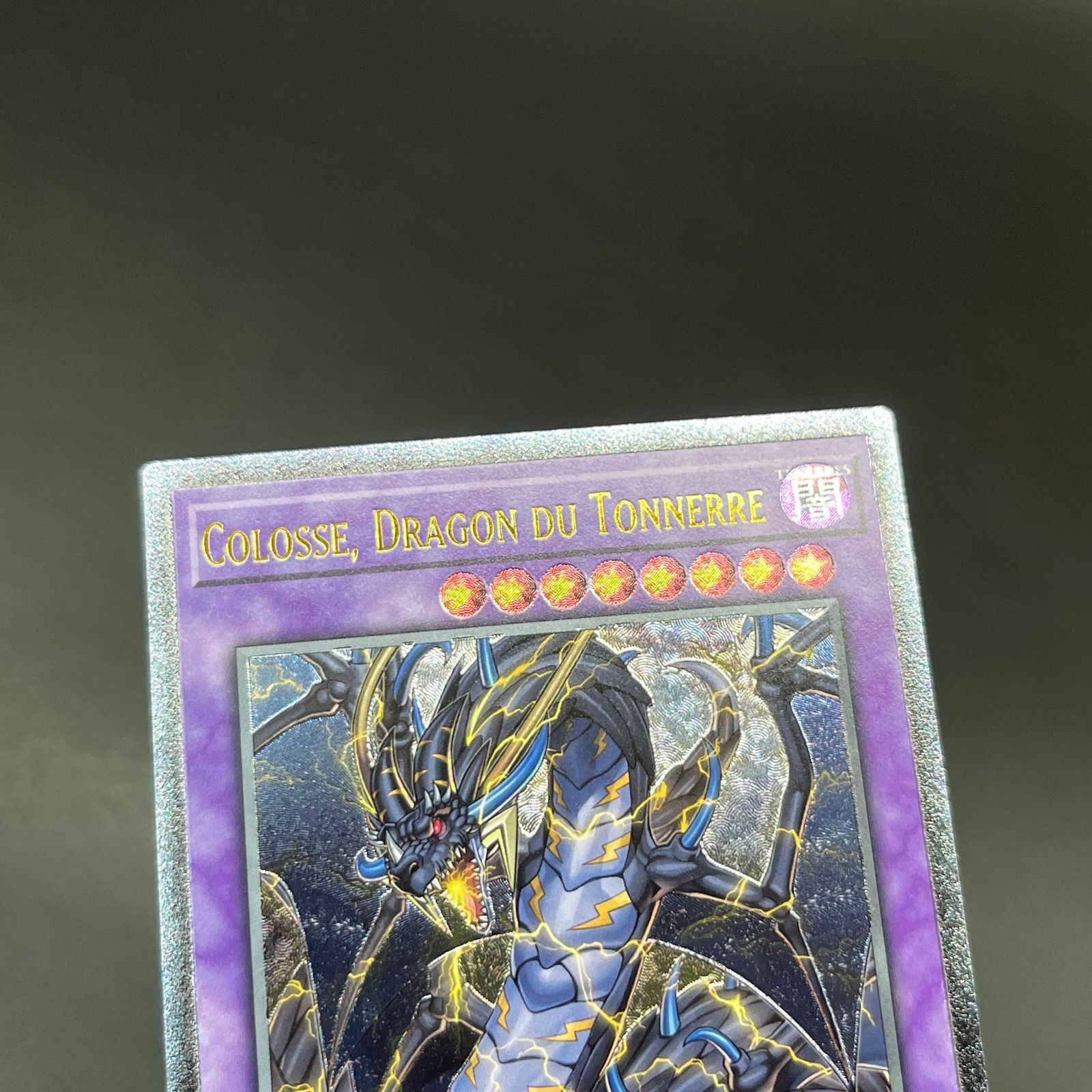 EU版】遊戯王 超雷龍サンダードラゴン レリーフ ポルトガル語 英語