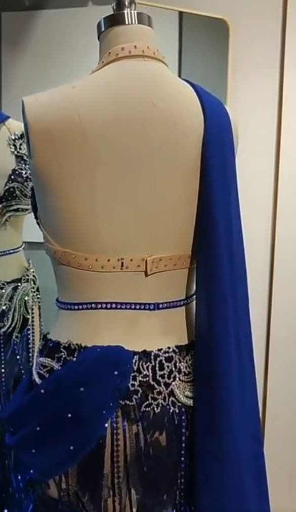 口コミ ベリーダンス衣装 ブラスカート アクセサリー付 豪華 オーダーメイド