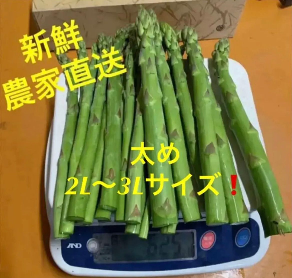 2キロ 太め 農家直送 新鮮 アスパラ アスパラガス