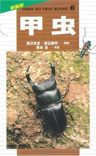 甲虫 (新装版山溪フィールドブックス) (山溪フィールドブックス 新装版 6) 甲虫 (山溪フィールドブックス | |本 泰明, メルカリ