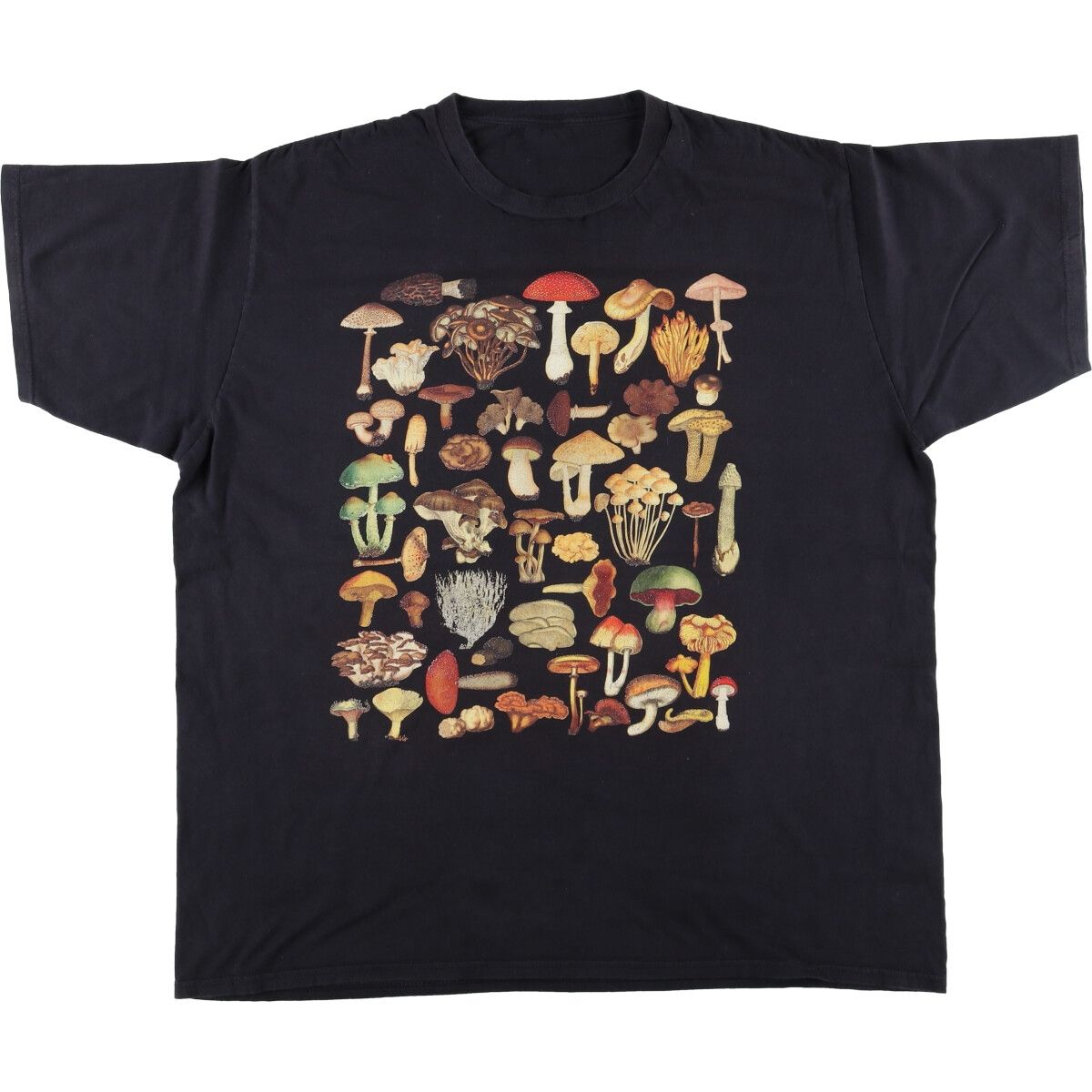 古着 プリントTシャツ メンズL相当/eaa489321