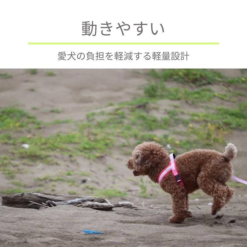 アロハさん専用 Honu✕3点コンプリートセット Amazon.co.jp: アロハシャツ 金魚 鯉 錦鯉 和柄 和風 メンズ