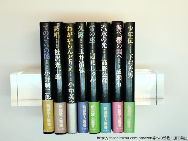 小説 アレキサンドリア物語 1〜9巻セット 山崎晴哉 姫野美智 ⁄ 【公式