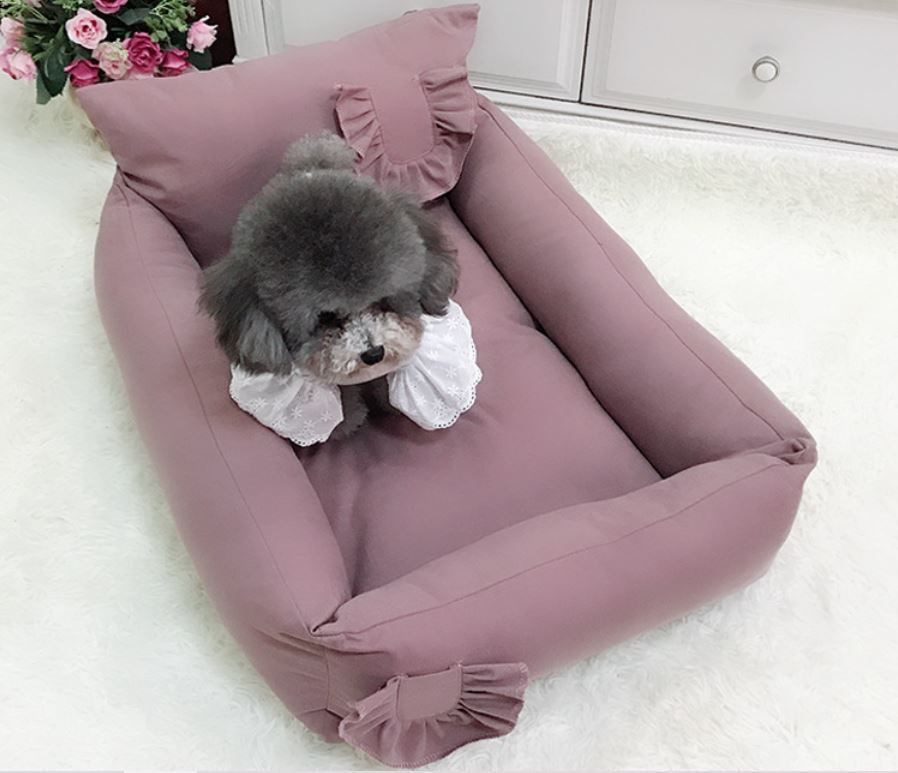 犬 猫
