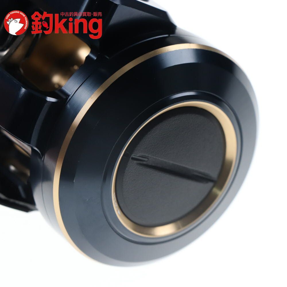 21 ソルティガIC