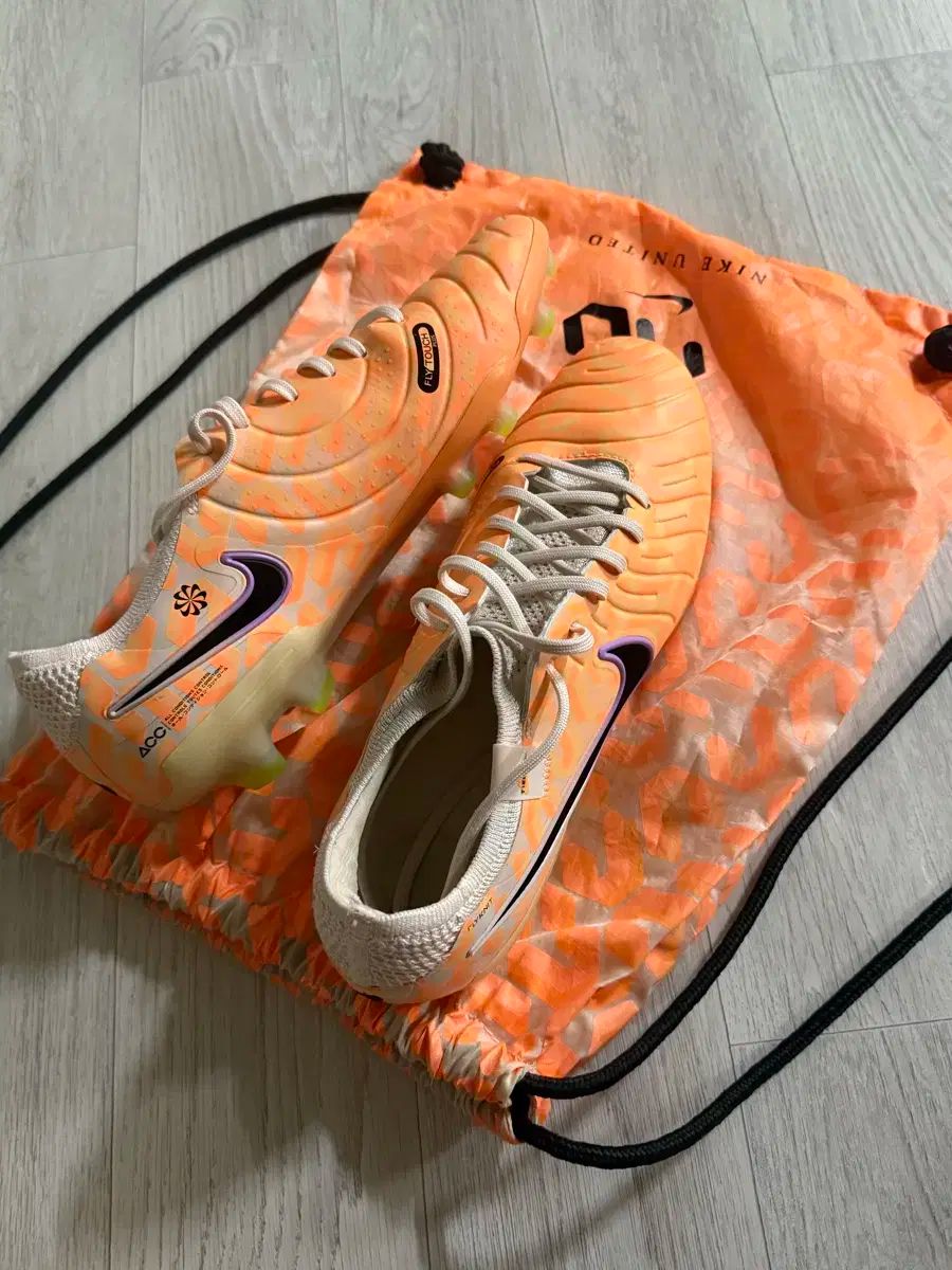 ナイキ ティエンポ レジェンド10 エリート FG 270 サイズ