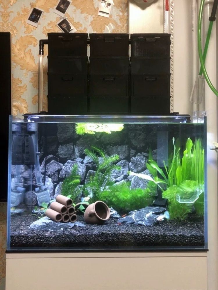 水槽三段式上部フィルター三層式濾過槽 物理と生物濾過フィルター硬質ボックス水質メンテナンス効果あり対応水槽サイズ50-70cmボックス9個