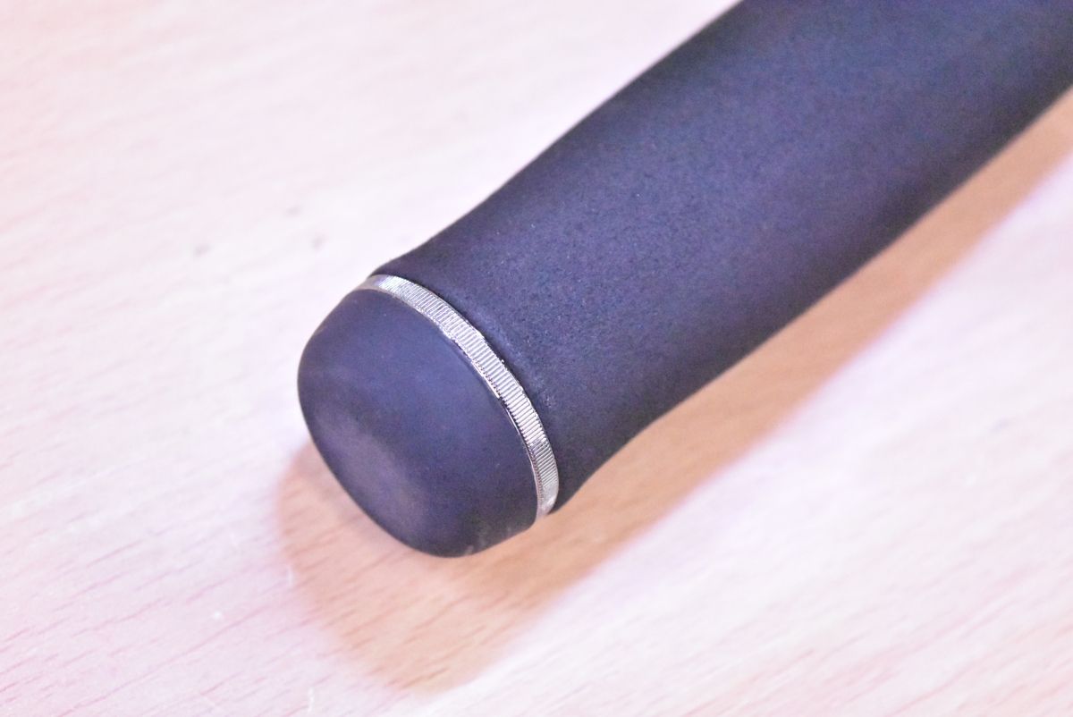 R AGSガイド付き