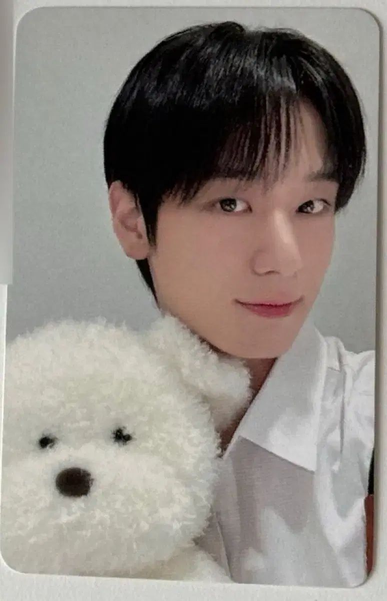 THE BOYZ(ザ・ボーイズ・ドボイズ) ジュヨン(JUYEON) 馬鹿な気分