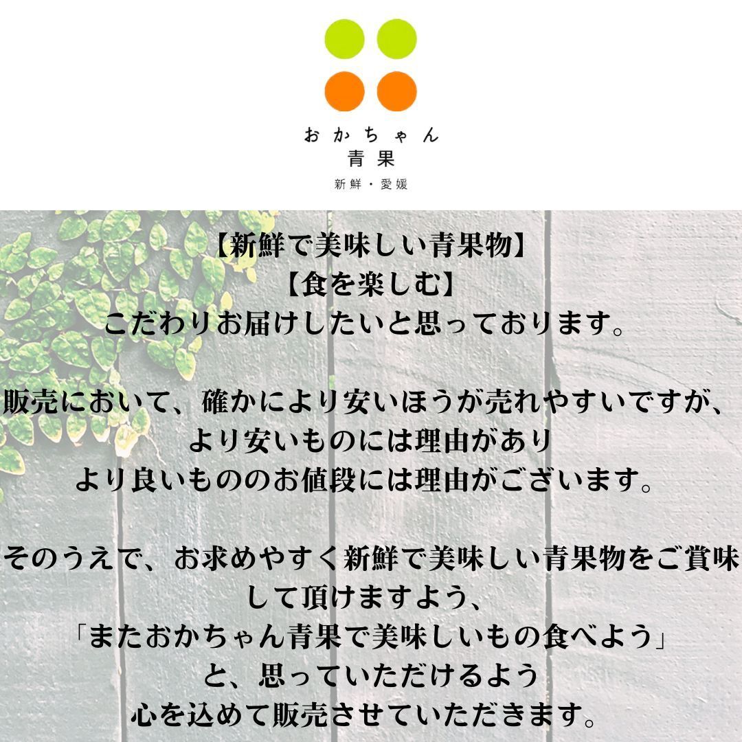 こだわりの西宇和 真網代産