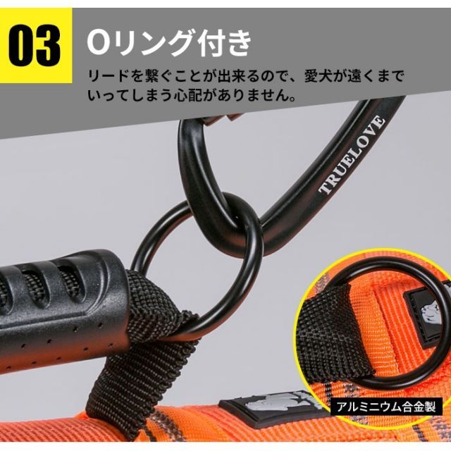 ゴールデ
