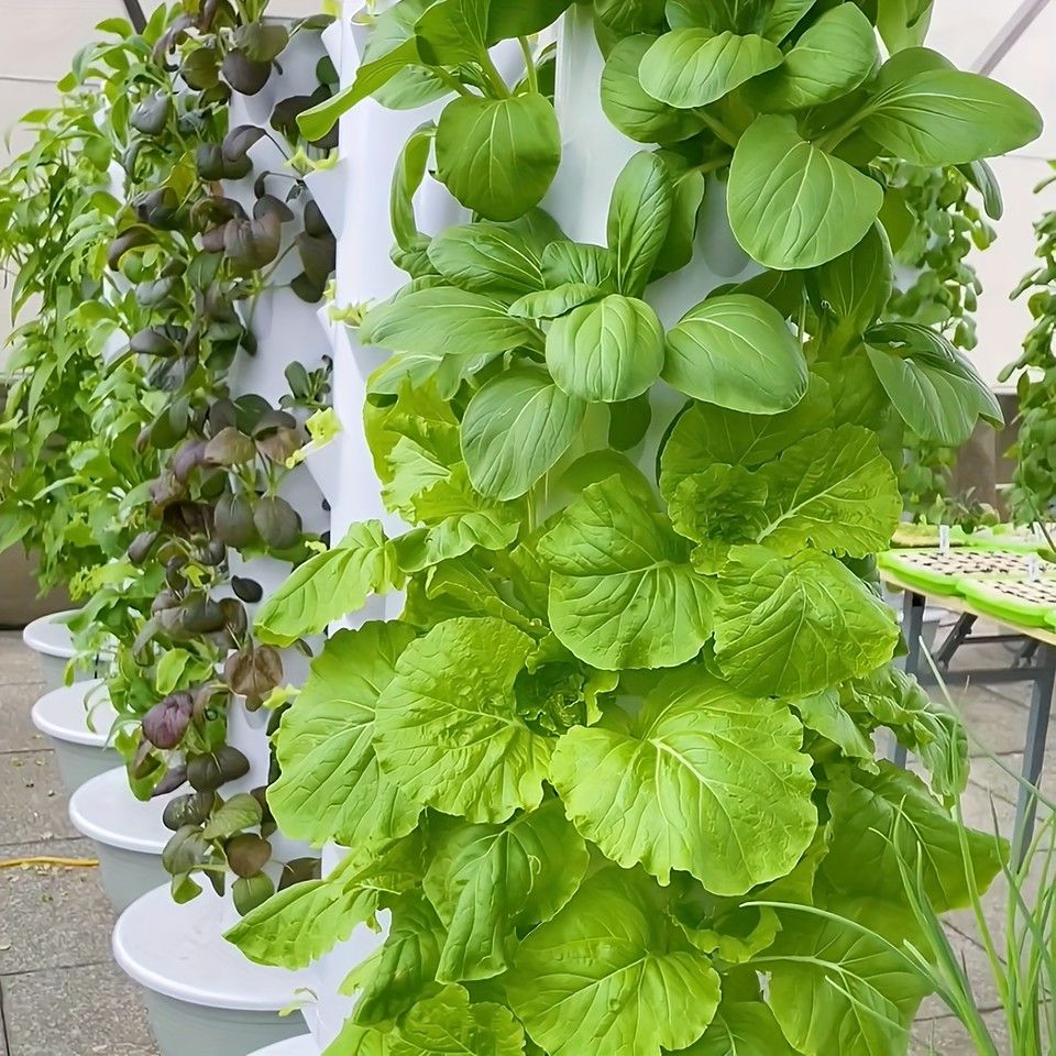 11層垂直水耕栽培タワー