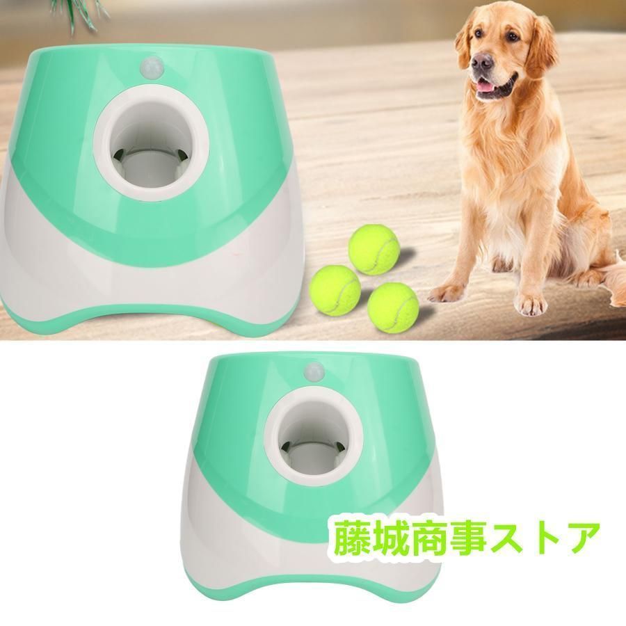 自動