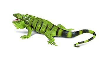 Safari  Incredible Creatures ( インクレディブル クリーチャーズ ) ミシシッピーアカミミガメ 269529 Amazon.co.jp: Safari Incredible Creatures (インクレディブル