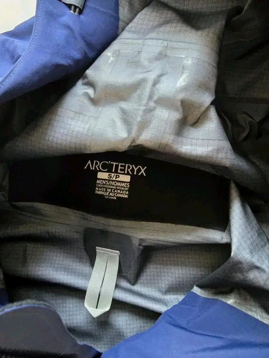 願いが叶う】財運を招く白蛇と猫｜井波彫刻 招き猫 くすのき 木彫り