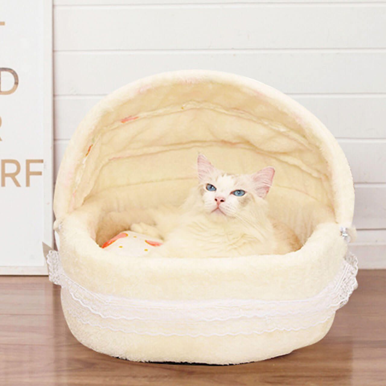 猫 犬