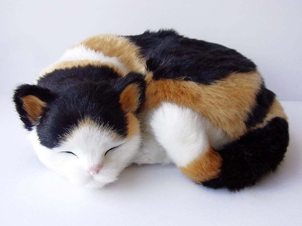 猫の恩返し バロン オルゴール フィギュア ジブリ コーヒーカップ 2025