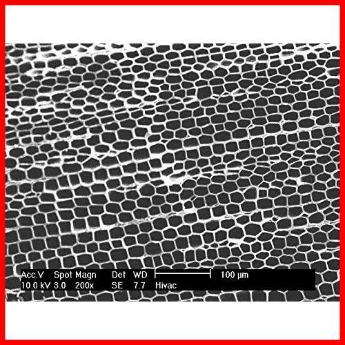 天然ひのきの炭の脱臭剤 パミア eco ポータブルスカイ 2 P ポータブルトイレ用