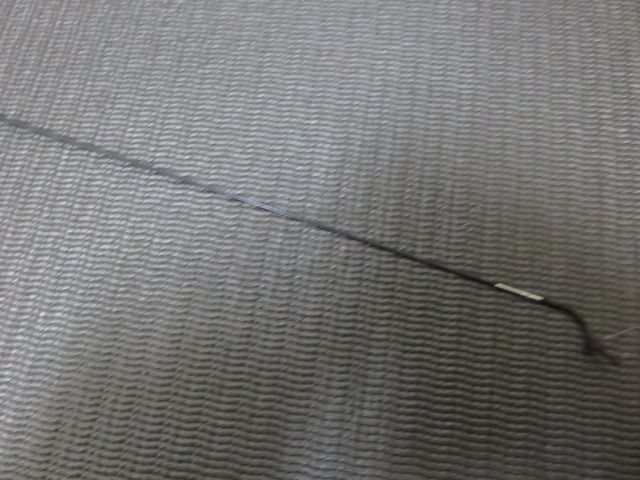 釣竿 渓流