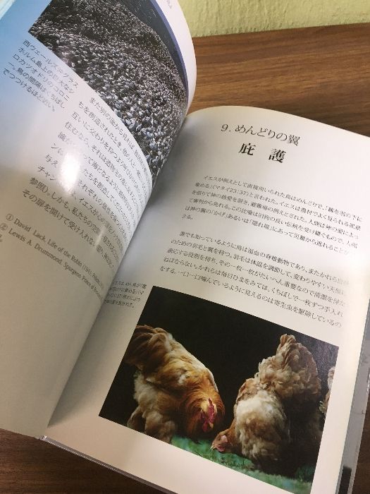 DVD付属空の鳥を見よジョン・ストット