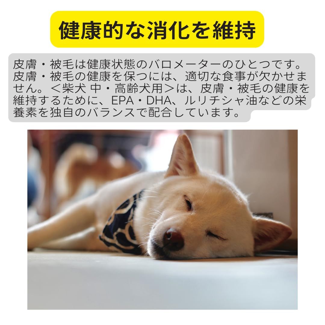高齢犬用