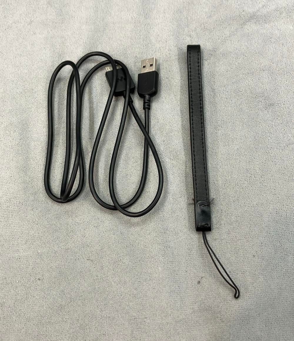  ソニー ウォークマン NW-ZX 300 SONY その他 オーディオ機器