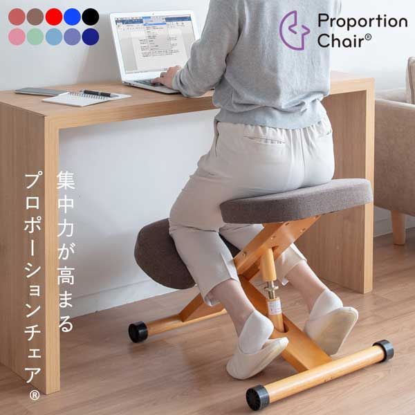 プロポーションチェア 補助クッション無し