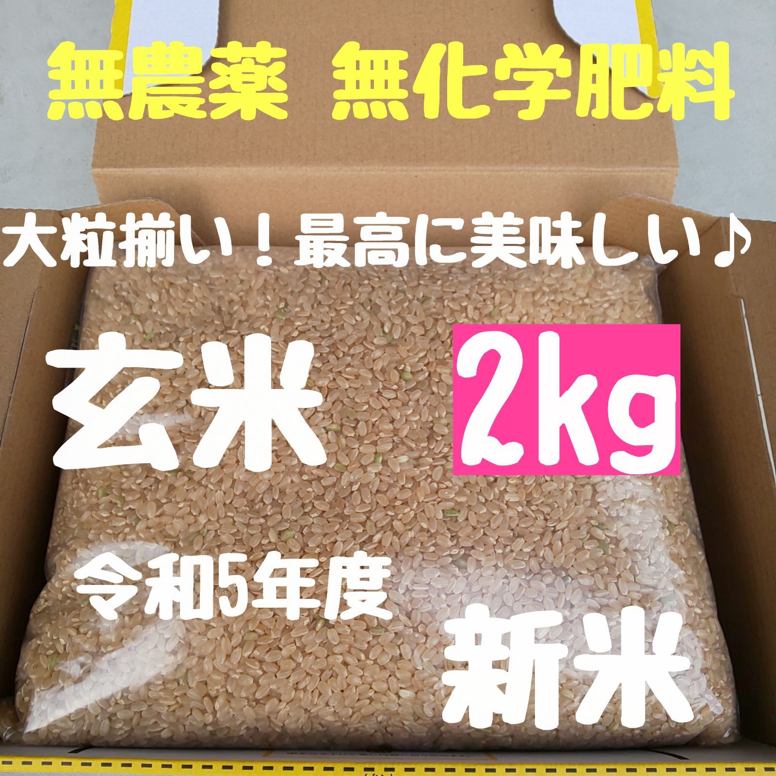 農薬不使用 無化学肥料 自然栽培 令和5年 新米 ひのひかり 玄米 2kg