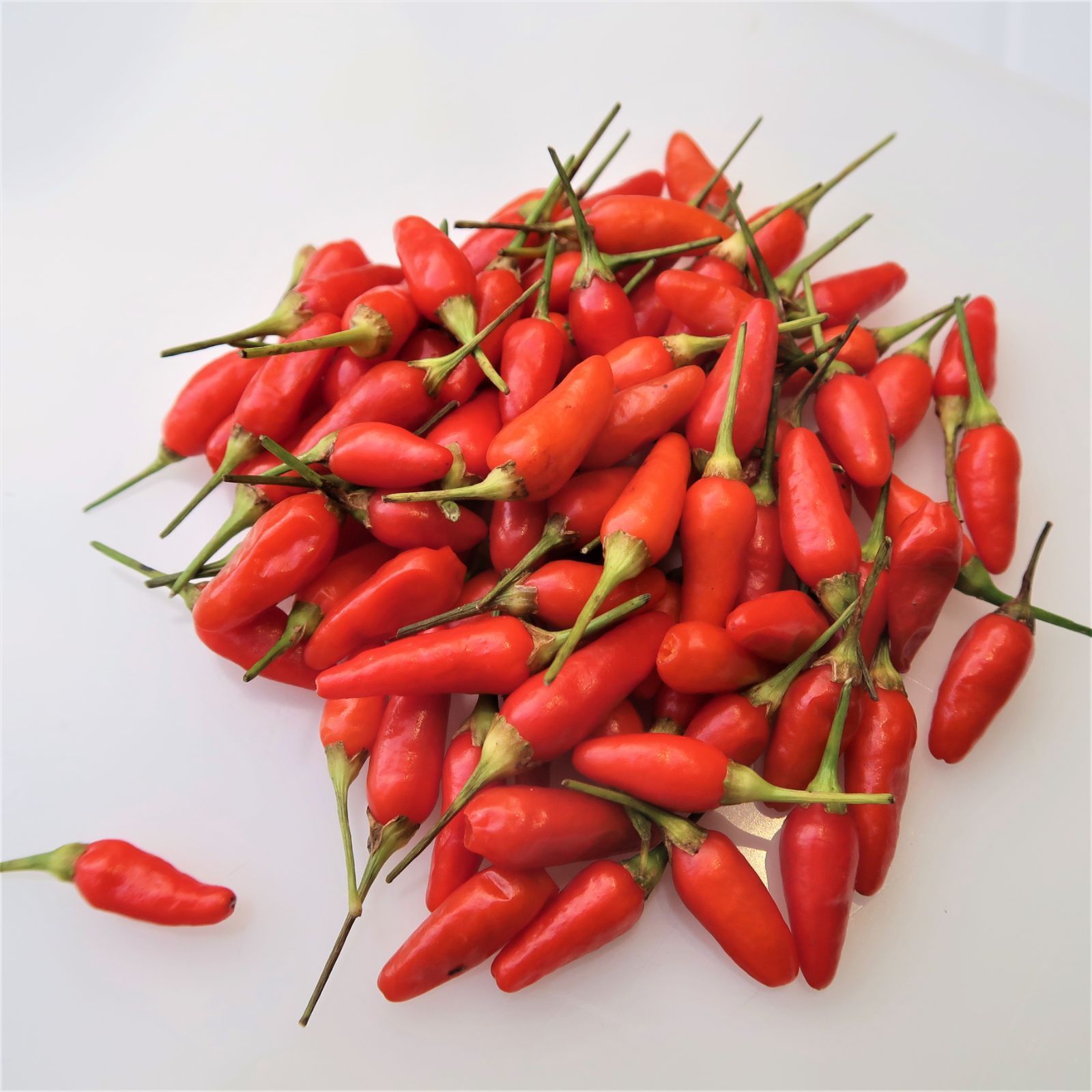 メルカリshops 激辛 島唐辛子 とうがらし 100 Gr 冷凍便発送 Hot Chilli