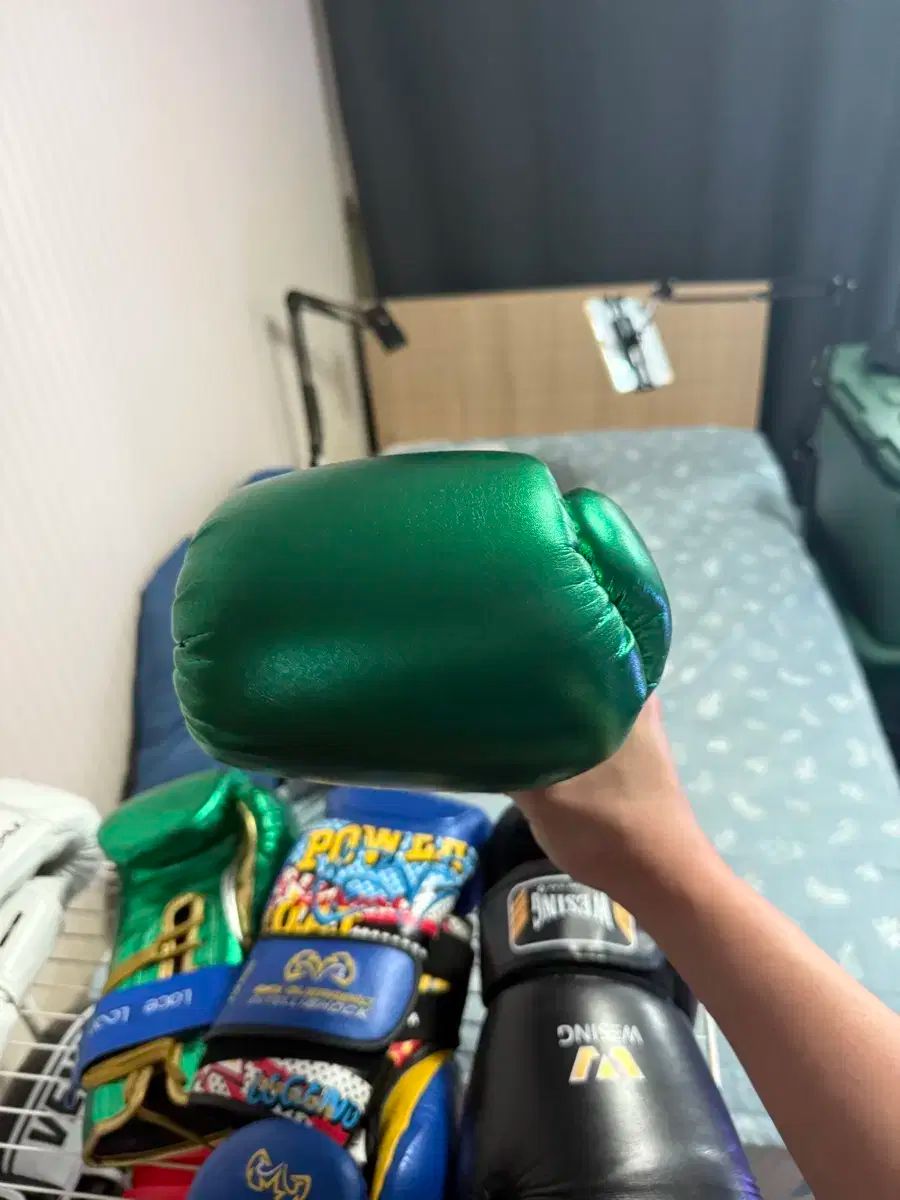 ディスフィード 500