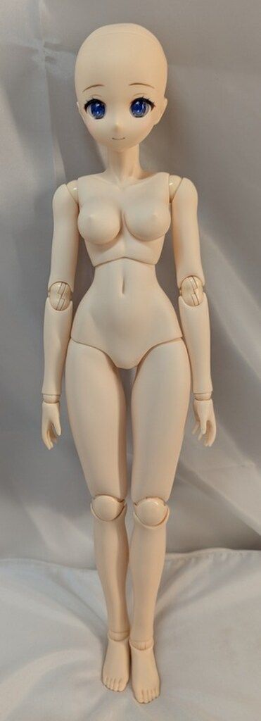 アゾン アナザーリアリスティックキャラクターズ ホロライブ ときのそら