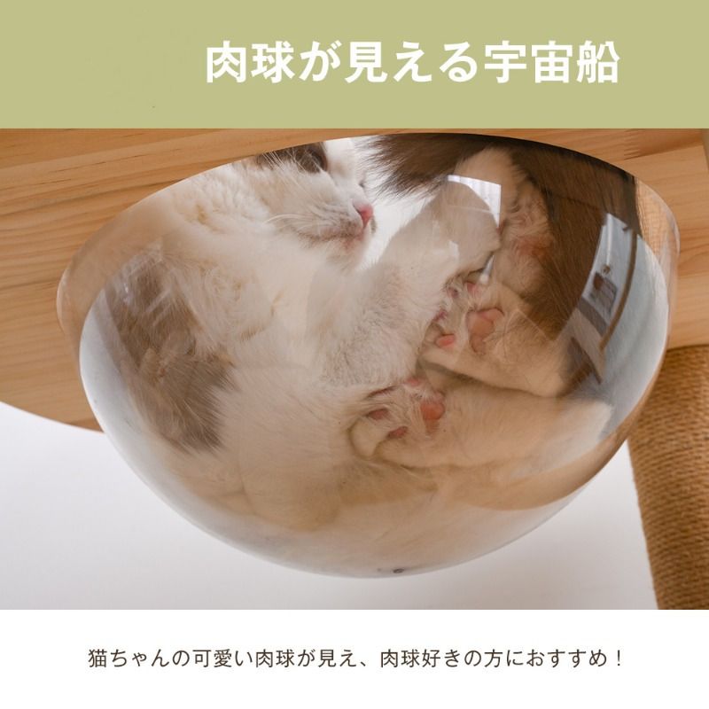 1個のウィスカーワンダーズ多層猫タワー