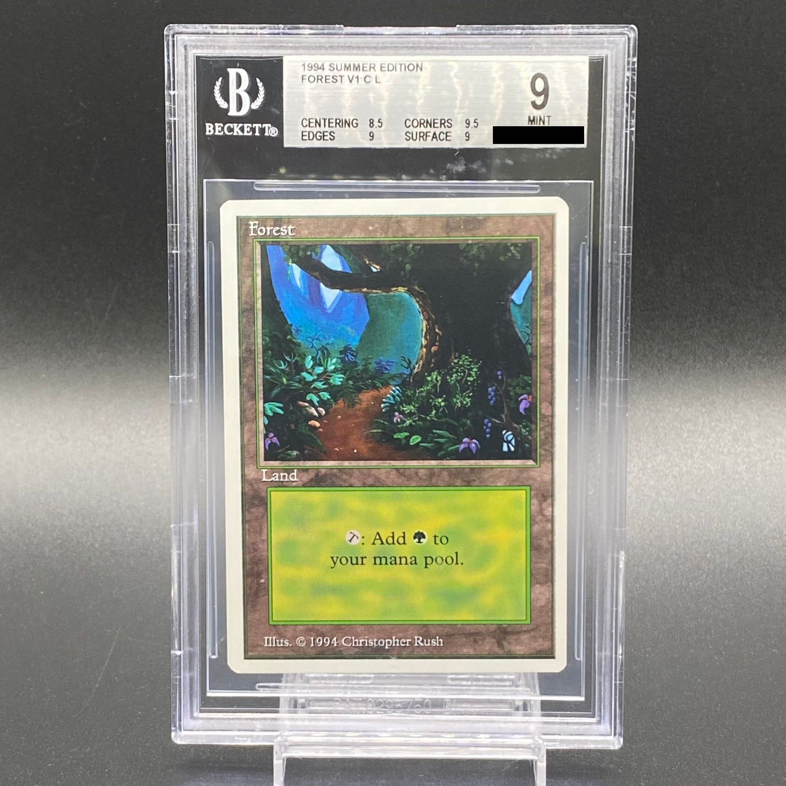 マジック：ザ・ギャザリング - 【BGS9】森 / Forest 基本土地 サマーマジック BGS9】森 / Forest 基本土地 サマーマジック - メルカリ