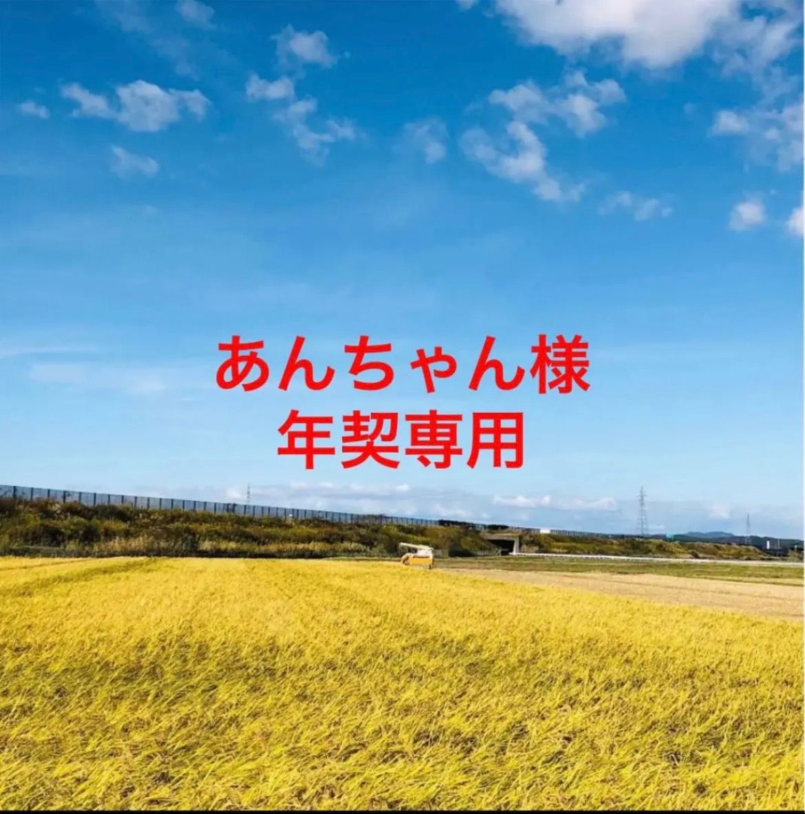 【あんちゃん様 年契専用19〜21時‼️】令和５年度新米あきたこまち精米10Kg×3