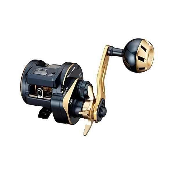 ダイワ(DAIWA) 21 ソルティガIC 100/100P-DH/300/300H-SJ 右/左