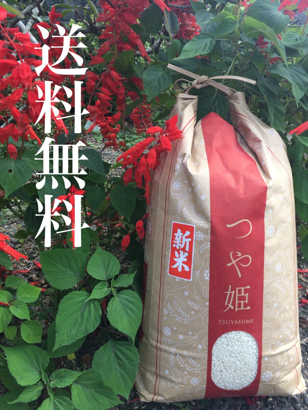 令和7年産 新米 つや姫 10㎏ 5kg×2袋 大分県玖珠産