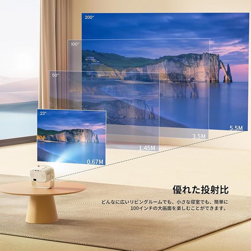 天井吊り可projector