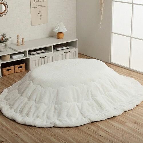 フォード モチュレ プラセリカ 500g ×2個 セット 詰替え用