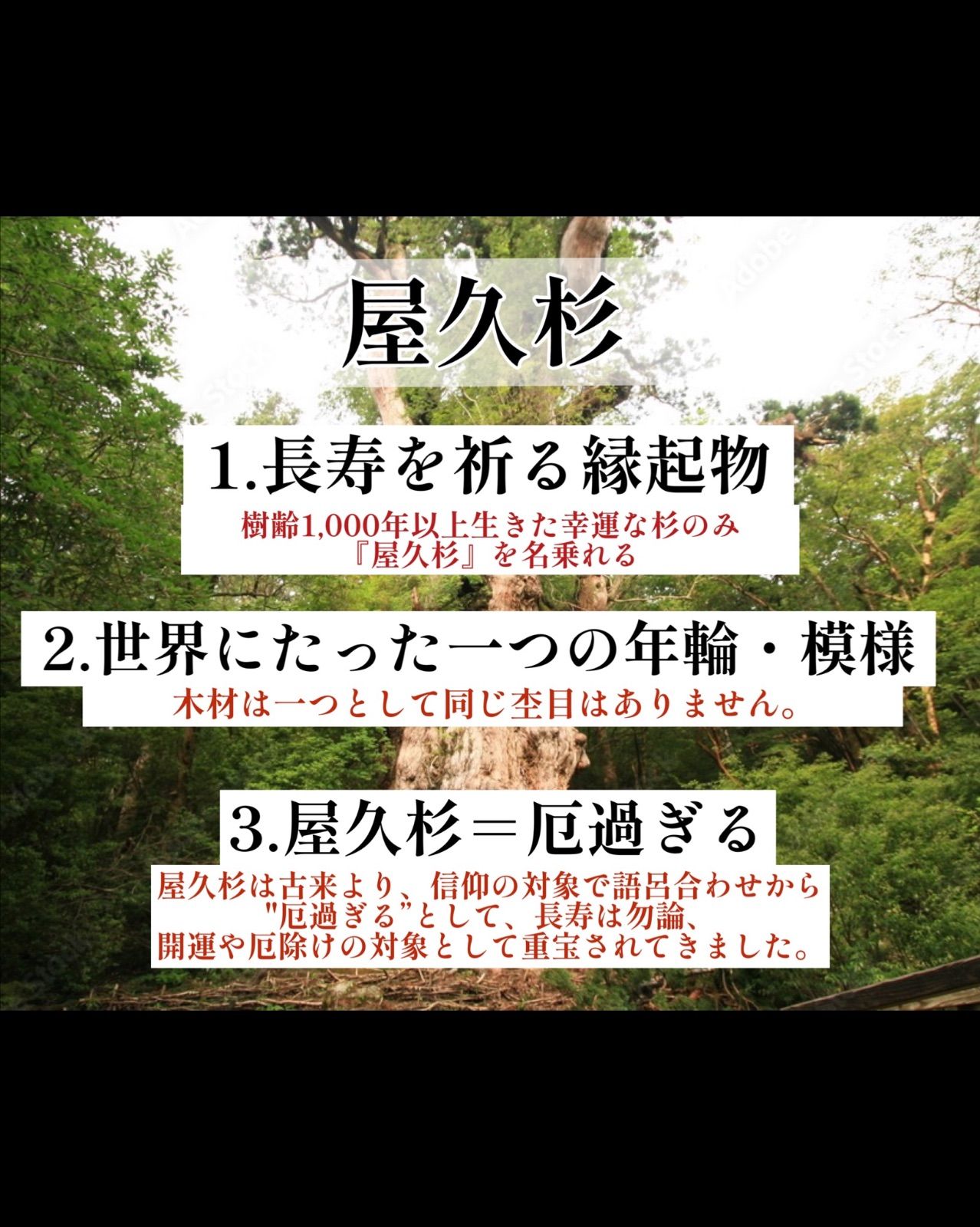 屋久杉のボールペン・長寿を祈る贈り物に - 金井工房 - メルカリ