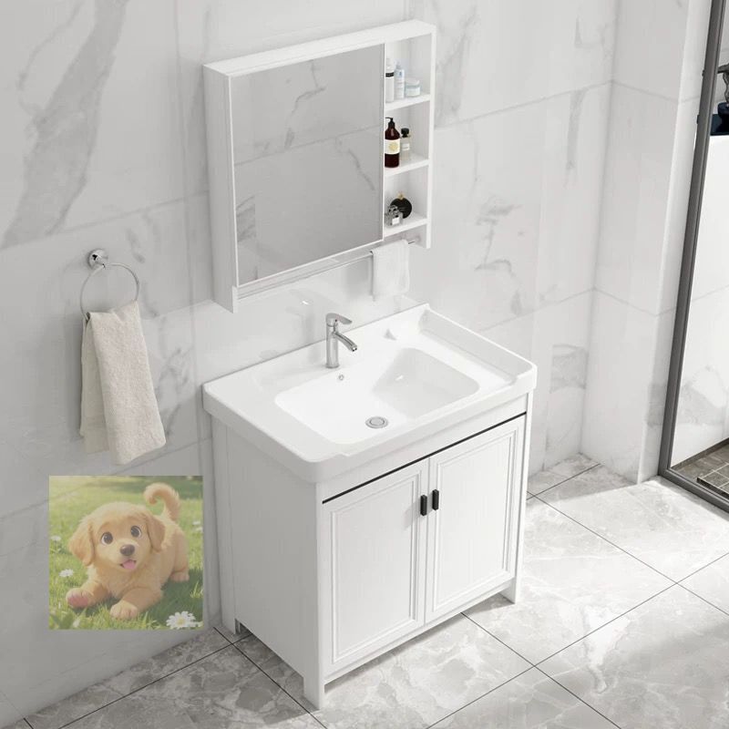 洗面化粧台 洗面台 収納キャビネット 陶器製 洗面ボウル 自立型 開き戸 洗面シンク 手洗い器 おしゃれ アルミニウム シンク セット 43cm