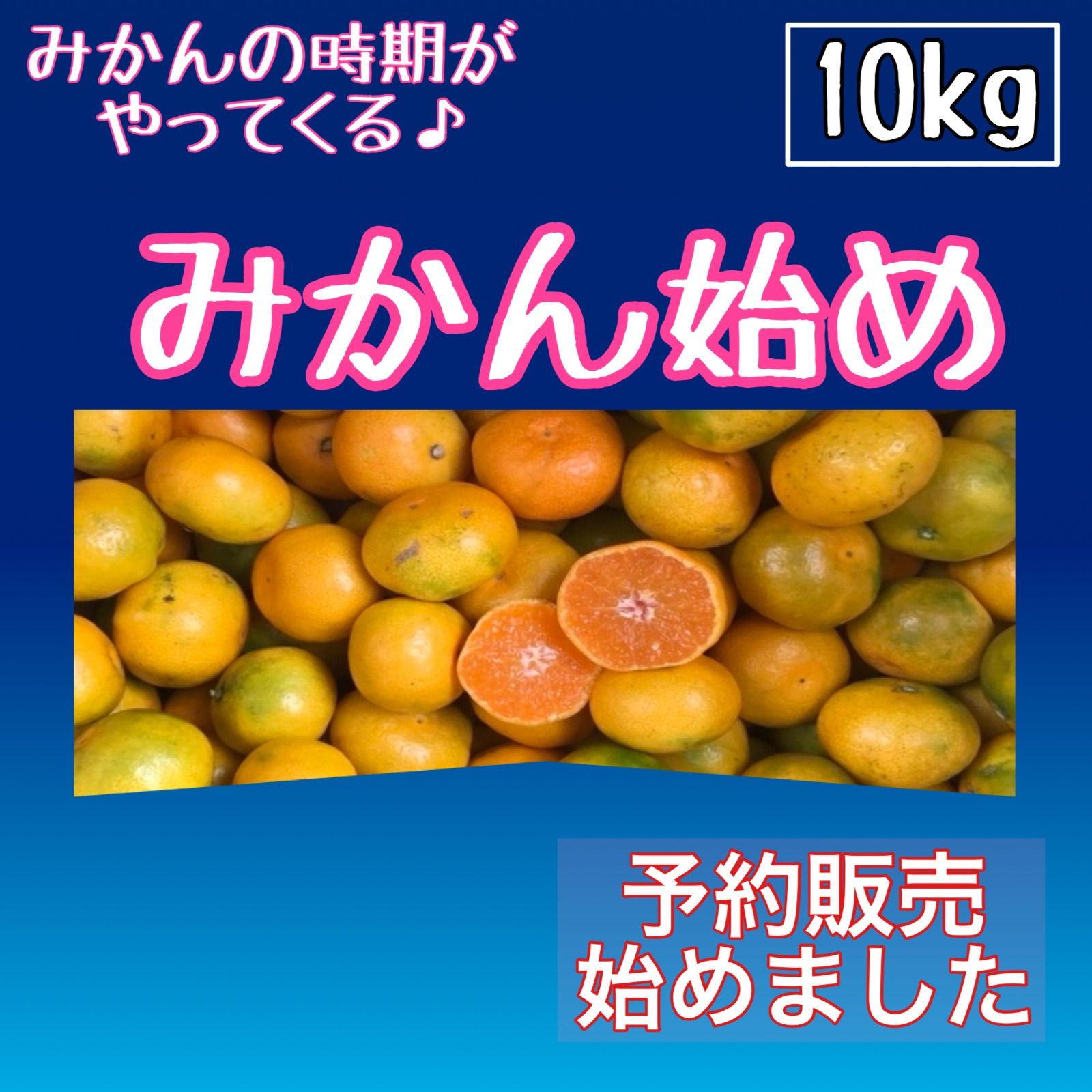 ポッキーママ様専用 みかん始め 10kg - メルカリ