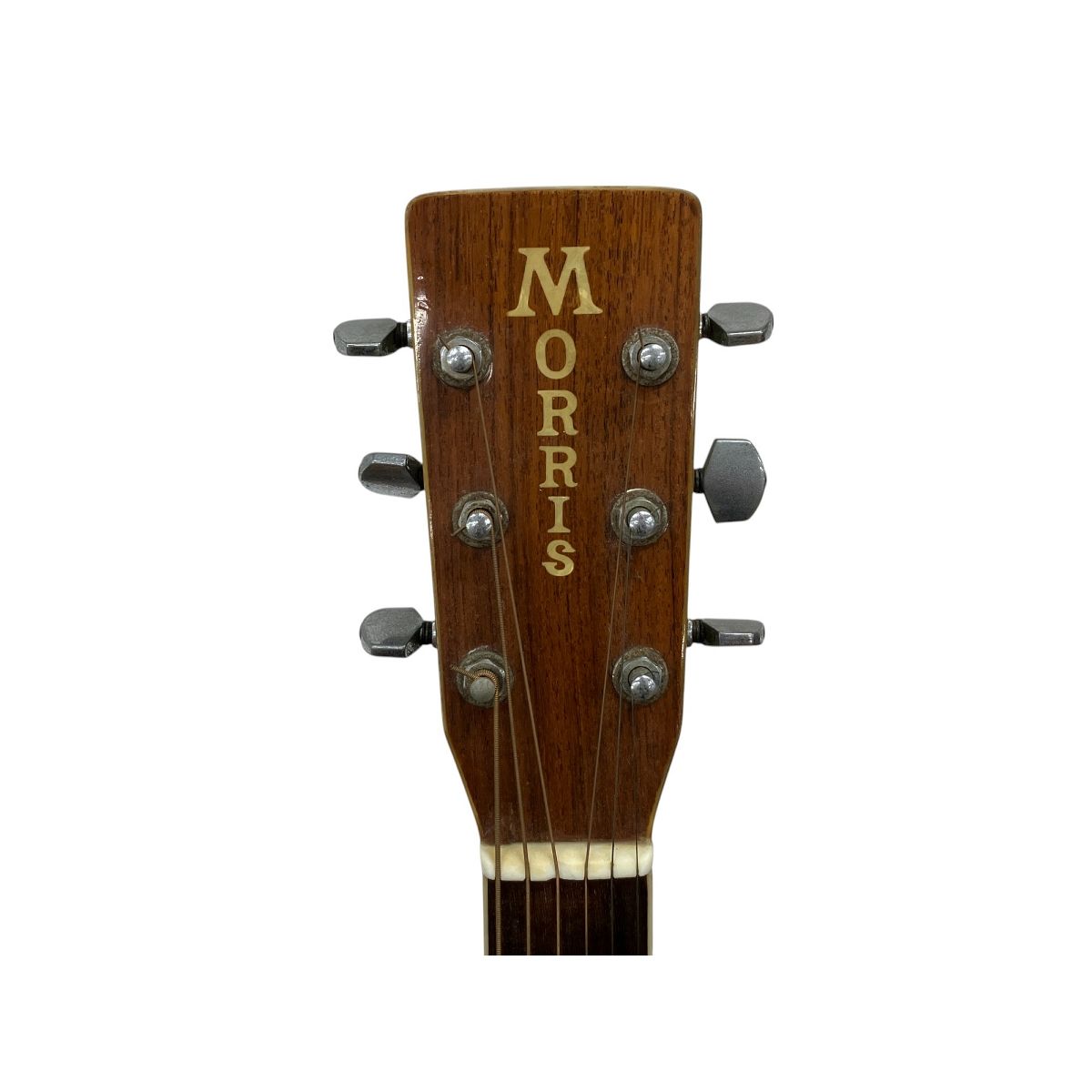 Morris W-35 アコースティックギター モーリス ジャパン