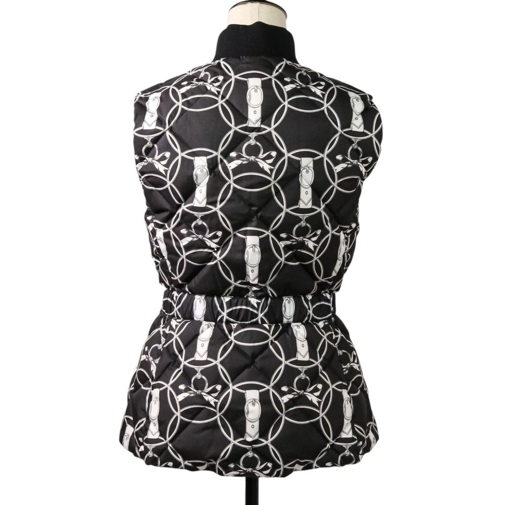 エルメスリバーシブルダウンベスト朝の散歩36